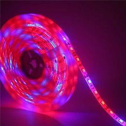 Grow Lights LED Grow light Full Spectrum LED Strip light SMD5050 LED Flower Plant Phyto Growth lamps For Greenhouse Hydroponic Plant Growing P230413