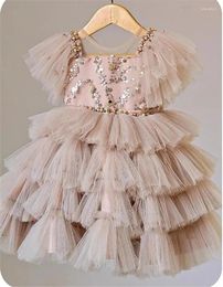 Girl Dresses Baby Girls Dress Pink Lining Party Gown Tutu Layers Tulle Princess Vestido Children Boutique Clothing 1-12T Outfit