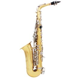 Gold Keys E-flat Alto Saxophone Gold and Sier Carved Leather Boxed Instruments