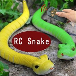 Electric/RC Animals RC Snake Toys for Boys Kids Girls Children Remote Control Animals Electric Cobra Rattlesnake Cat Pets Robot Shark Spider Q231114