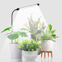 Grow Lights Indoor Plant Growth Light 6000 K Full Spectrum Gooseneck Plant Light for Small Plants for Sowing Automatic Timer P230413