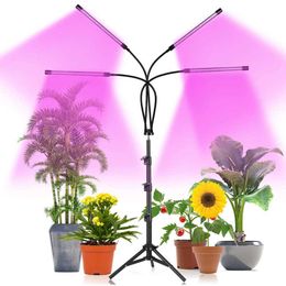 Grow Lights LED Grow Light USB Phyto Lamp Full Spectrum Fitolamp With Stand Control Dimmable Plant Light for Seedlings Flower Home Tent P230413