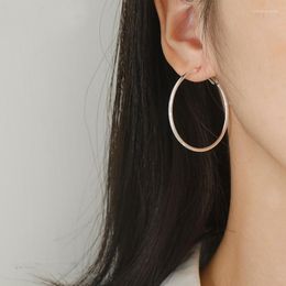 Hoop Earrings 925 Silver Needle Circle For Women Geometric Creative Party Jewellery Eh846