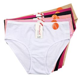 Women's Panties 5pcs Women Cotton Panties Sexy Everyday Ladies Girls Solid Underwear Plus Size Briefs Intimates Lingerie Knickers XXL 4XL 230414