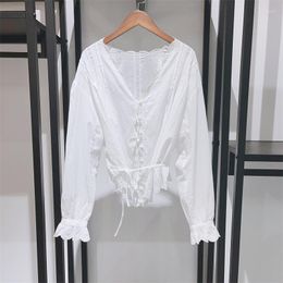 Women's Blouses 2023 Spring And Summer Embroidered Scallop Lace Deep V-neck Pleated Striped Tie Waist Women Shirt