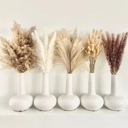 Decorative Flowers White Pampas Grass Fluffy Natural Dried Tail DIY Boho Plant Pampa For Room Home Decoration Wedding