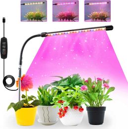 Grow Lights Small Grow Light for Indoor Plants Red Blue Spectrum with Timer Gooseneck Sunlight Plant Lamp 80cm for Succulents Plants P230413