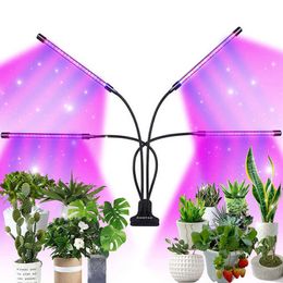 Grow Lights Grow Lights for Indoor Plants Full Spectrum with 3/9/12H Timer 9 Dimmable Brightness P230413