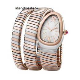 Luxury watch Women Watch Snake Bangle Silver Rose Gold Long Bracelet White Rome Japanese Quartz Stainless Steel Sapphire Wristwatch