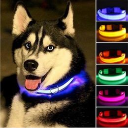 Coleira de nylon com led para animais de estimação, coleira noturna de segurança que brilha no escuro, coleira fluorescente luminosa para cães