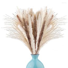 Decorative Flowers -Natural Dried Pampas Grass 60 Pcs For Flower Arrangement Home Decor Wedding Boho