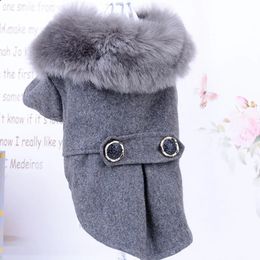 Dog Apparel Winter Dog Clothes Pet Cat fur collar Jacket Coat Sweater Warm Padded Puppy Apparel for Small Medium Dogs Pets 231113