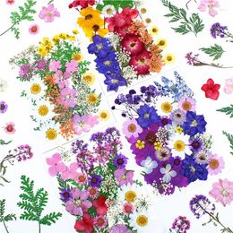 Decorative Flowers 2023 1Bag Dried Plant Pressed Flower Resin Mould Filling Floral Face Decor DIY Crafts Nail Art Material Package