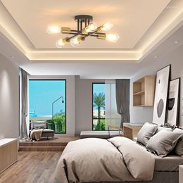 Ceiling Lights American Living Room Led Lamp Wrought Iron 6 Hedgehog Double Pole Light In The Bedroom Creative Chandelier Lamps.