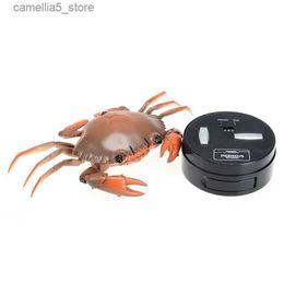 Electric/RC Animals EBOYU RC Crab Animal Toy Remote Control Car Vehicle Electronic Fake Insect for Kids Birthday Gift Christmas Halloween Q231114