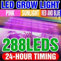 Grow Lights 5V Phytolamp For Plants Full Spectrum Led Lights Indoor Phyto Lamp USB Plant Grow Sunlight Greenhouse Hydroponics Growing System P230413