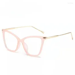 Sunglasses Fashion Cat Eye Flat Mirror Women's Eyeglass Frame European And American Plain