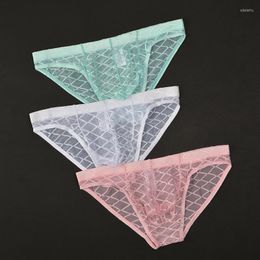 Underpants Men Sexy Sheer Mesh Briefs Bulge Pouch Underwear Low Waist Ultra-thin Panties Mens Transparent Breathable Cueca Homme