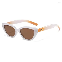 Sunglasses 2024 Cat Eye Woman Brand Designer Vintage Fashion Cateye Sun Glasses Female Small Frame