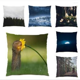 Pillow Real Picture Decorative Covers Beautiful Pillowcase Comfortable Pilow Cover Velvet Fabric Polyester Linen Simple E0993
