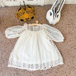 Girl Dresses Lace Princess Dress Spring Children Clothing 2-6Y Toddler Baby Girls Floral Embroidery Infant Party Costume Clothes