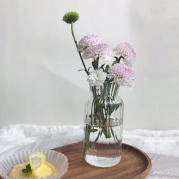 Vases Flower Vase For Home Decor Glass Terrarium Container Table Ornaments Small Plant