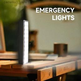 Camping Lantern 5 pcs/lot LED Emergency Light Portable Rechargeable Lantern For Home Camping Lantern Pilot Wall-Mounted Lamp Indoor Worklight Q231116