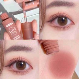 Eye Shadow 6 Colours Matte Liquid Eyeshadow Cream Milk Tea Pallete Velvet Cheek Nude Powder Contour Shadow Primer Pink BLUSHL231115