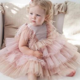 Children birthday party dresses Ball Gown girls tiered lace tulle tutu dress kids feather tassel fly sleeve princess clothing Z5432