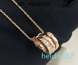 Pendant Designer Luxury Women Snake Bones Choker Titanium Steel Diamond Chain Valentine Day Gift Choker Chain Jewellery Accessories No