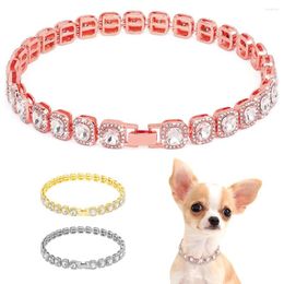 Dog Collars Bling Diamond Chain Collar Crystal Rhinestone Pet Necklace Luxury Shining For Small Medium Dogs Cat Chihuahua