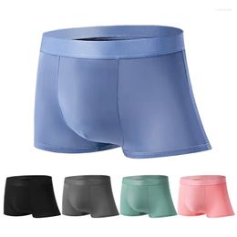 Underpants Seamless Men Boxers Luxury Silk Underwear Boxer Spandex 3D Crotch Nylon Shorts Slips Plus Size 3XL