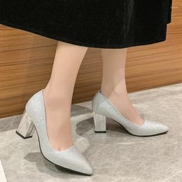 Dress Shoes Designer Women High Heels 2023 Sexy Pointed Toe Women's Pumps Comfortable Thick Heel Plus Size 43 Ladies