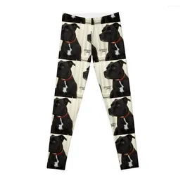 Active Pants Staffy Dog Leggings Women For Gym Workout Shorts
