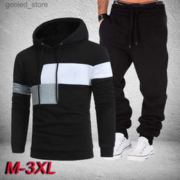 Men's Tracksuits Fashion Men Tracksuits Hoodies Suit Autumn Winter Men Hooded Sweater and Sweatpants Two Piece Set Plus Size Men's Clothing Q231117