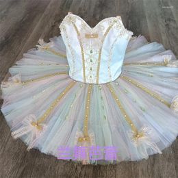 Stage Wear Design Professional Custom Size Competition Performance Kids Girls Fairy Dress Ballet Dance Tutu Costumes