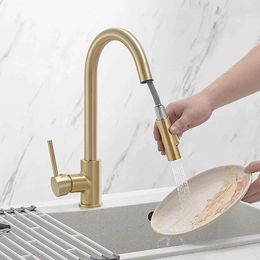 Kitchen Faucets Gold Single Handle Sink Faucet With Pull Out Sprayer Rv Down 2 Function Laundry