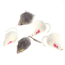 Cat Toys 5 Pcs Treat Toy Cleaning Playset Chewing Teeth Kitten Small Pet Mice Teasing
