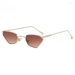 Sunglasses Vintage For Women Men Small Frame Cat's Eye Eyewear Candy Color Brand Designer Sun Glasses Female