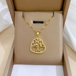 Pendant Necklaces CZ Tree Of Life Crystal Long Necklace For Women Stainless Steel Chains Gold Color Choker Women's Trendy Female Jewelry