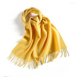 Scarves Winter Wool Woman's Scarf Fashion Shawl Outer Lap Thickened Warm Tassel Q448-452