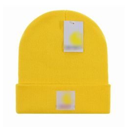 New Designer beanie knit cap wool cap windproof warm quality hat couple models one-piece logo fashion trend perfect fit High-quality products D-10