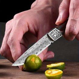 1pc Damascus Steel Fruit Knife, Multifunctional Cutting Melon Fruit Peeling Knife, Portable High Hardness Folding Pocket Knife For Outdoor