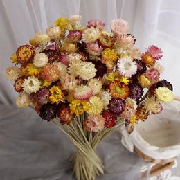 Decorative Flowers Rose Daisies Dried Natural Real Flower Air-Dried Bouquet At Home Tabletop Decoration Floral Arrangement