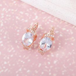 Stud Earrings Fashion Delicate Luxurious Sparkling Zirconia For Women Trendy Glamour Wedding Banquet Jewellery Gifts