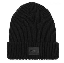 Fashion Designer hats Brand American Hat LEVS Polo Beanies Men's and women's beanie fall/winter thermal knit hat ski brand bonnet plaid Skull Hat Luxury warm cap A0