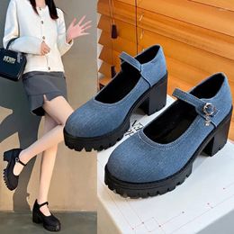 Dress Shoes Platform Mary Janes Lolita High Quality Japanese Style Women Vintage Soft Sister Girls School