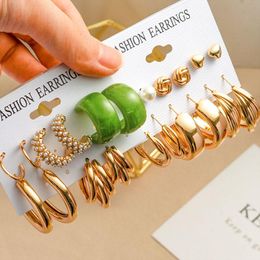 Hoop Earrings & Huggie Korean Colorful Leopard Acrylic Set For Women Trendy Gold Geometric Resin Dangle Drop Party Jewelry