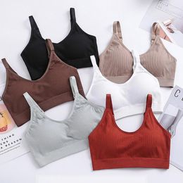 Yoga Outfit Solid Seamless Sport Bra Women Underwear Beautiful Back Bras For Sleep Breathable Tops Lingerie Mujer