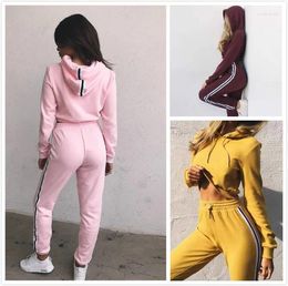 Women's Two Piece Pants 2023 Women 2 Set Hoodies Top Winter Tracksuit Burgundy Pink Yellow Black Striped Outfit Femme Sporting Suits